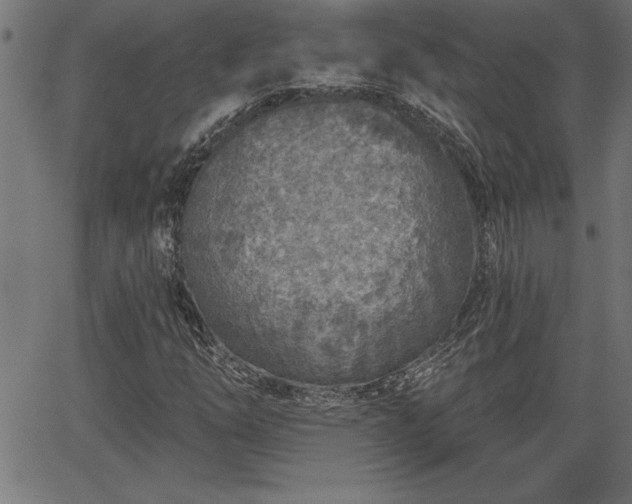 X0000065971254200603061141