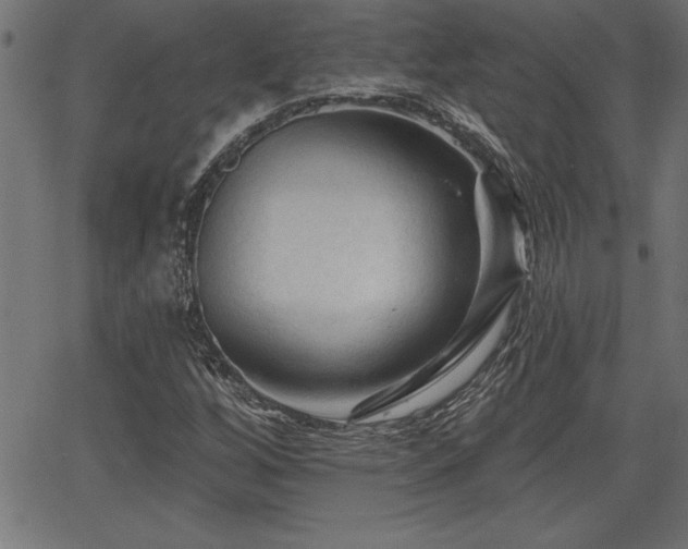 X0000065971256200603061141