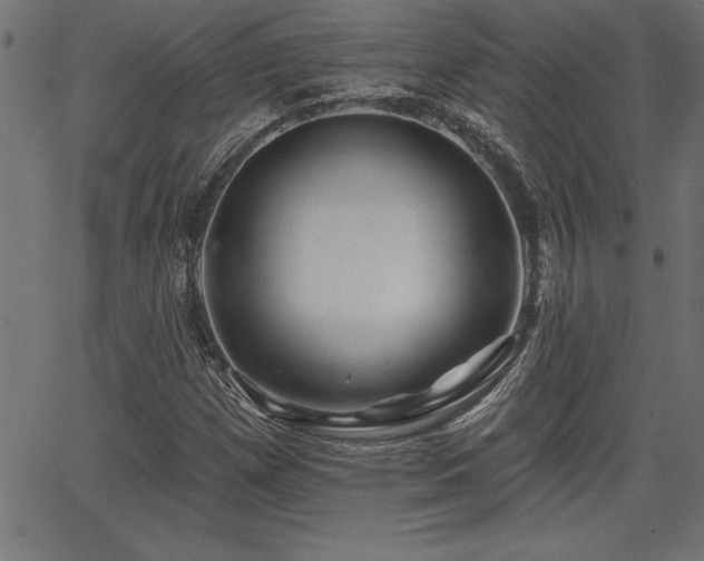 X0000065971257200603061140