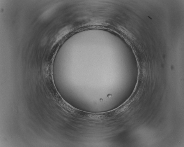 X0000065971258200603061140