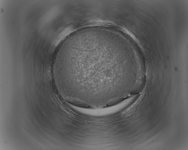 X0000065971259200603061140