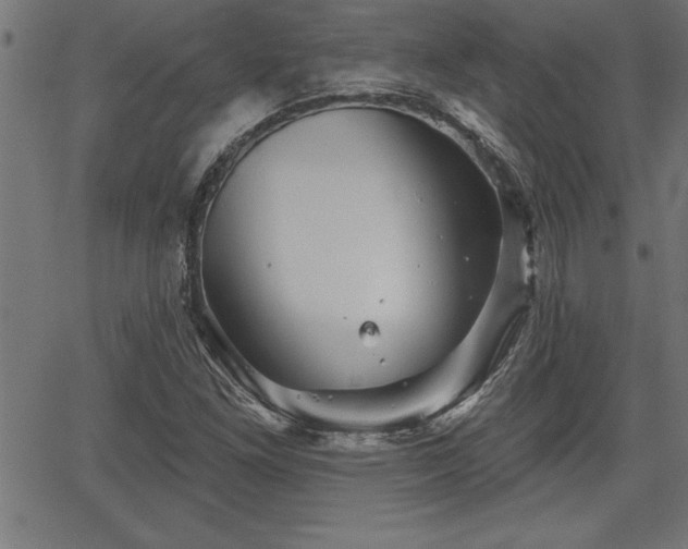 X0000065971261200603061140