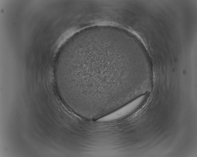 X0000065971263200603061140