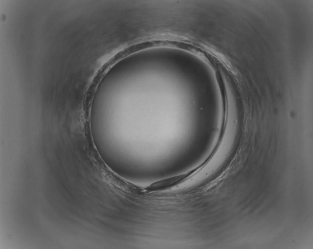 X0000065971264200603061140