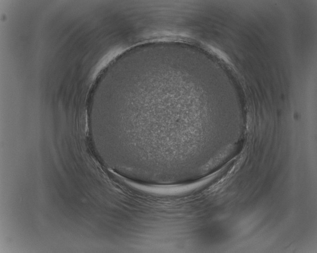 X0000065971267200603061140