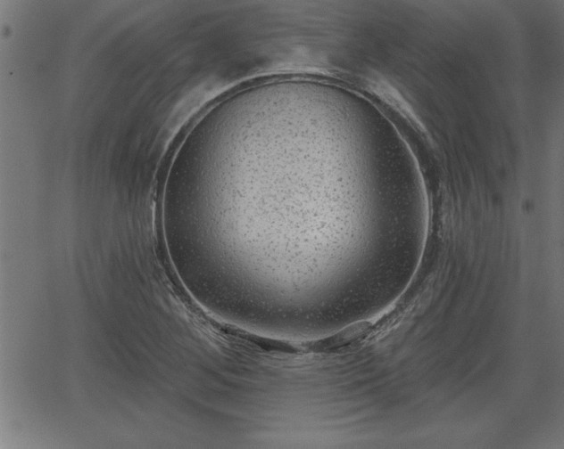 X0000065971268200603061140