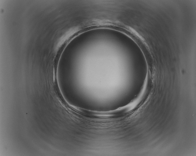 X0000065971269200603061140