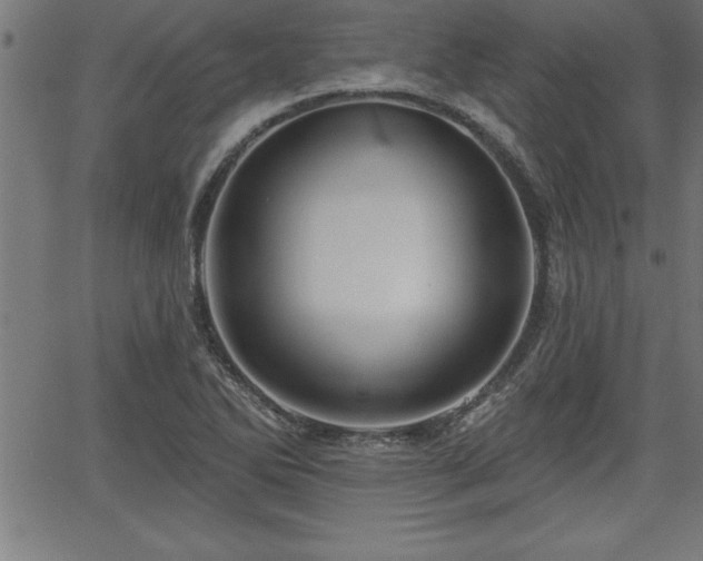 X0000065971270200603061140