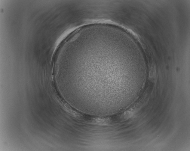 X0000065971271200603061140