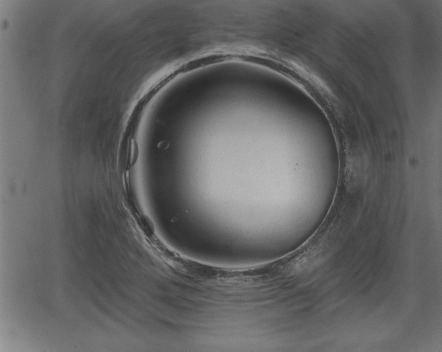 X0000065971272200603061140