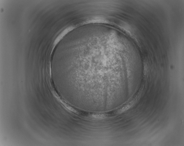 X0000065971274200603061140