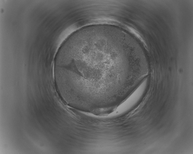 X0000065971275200603061140