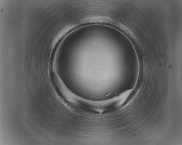 X0000065971277200603061140