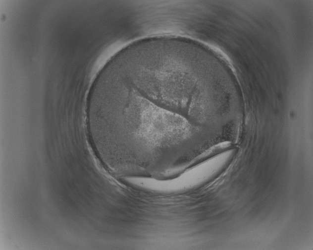 X0000065971279200603061140