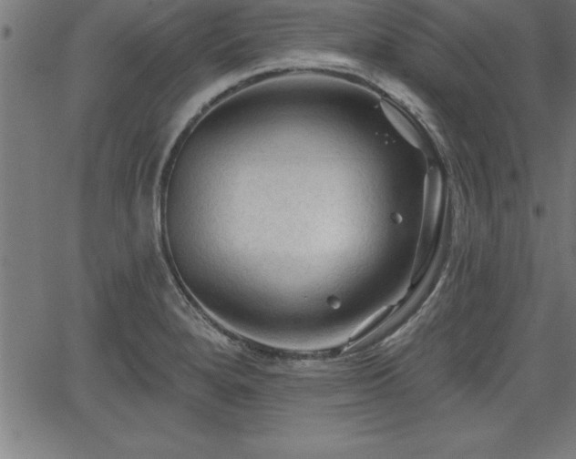 X0000065971280200603061140