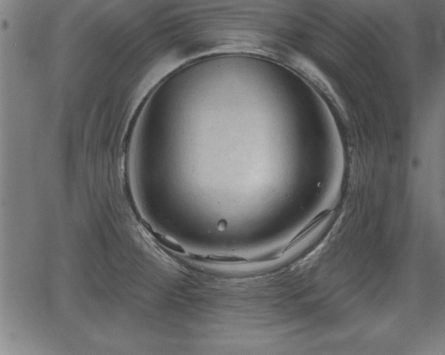 X0000065971284200603061140