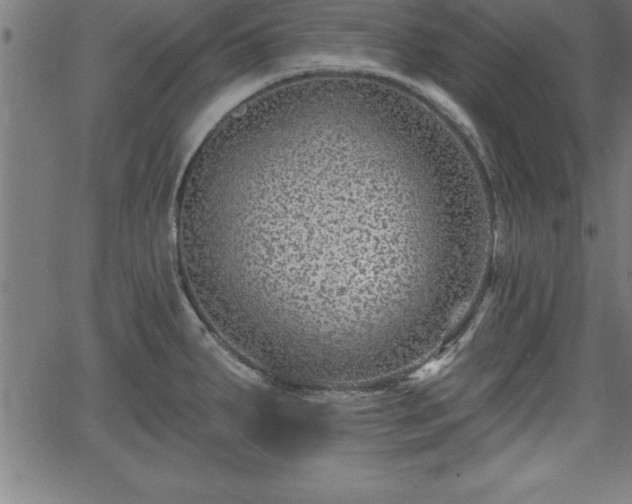 X0000065971287200603061140