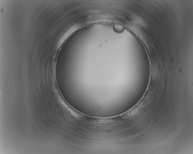 X0000065971290200603061140