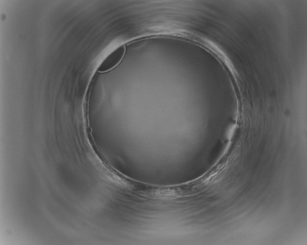 X0000065971291200603061140