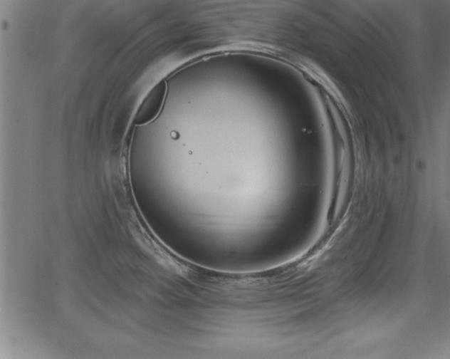 X0000065971292200603061140