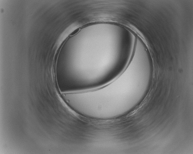 X0000065971293200603061140