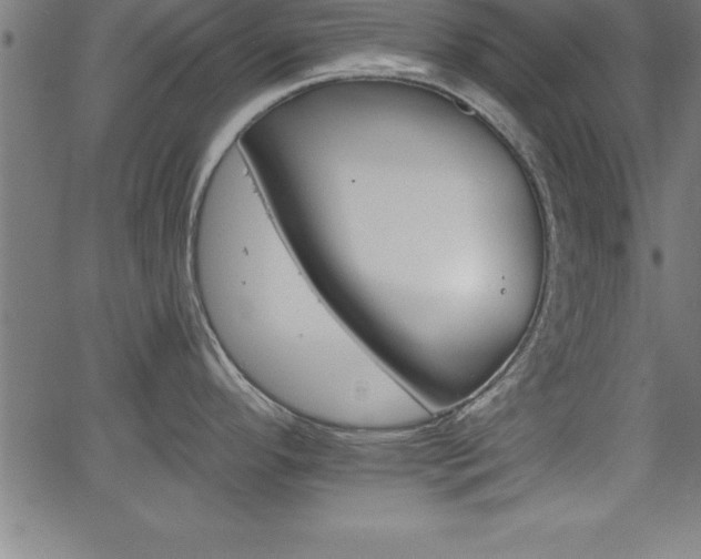 X0000065971296200603061140