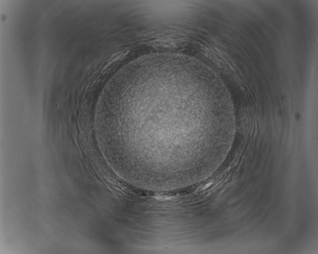 X0000065971297200603061139