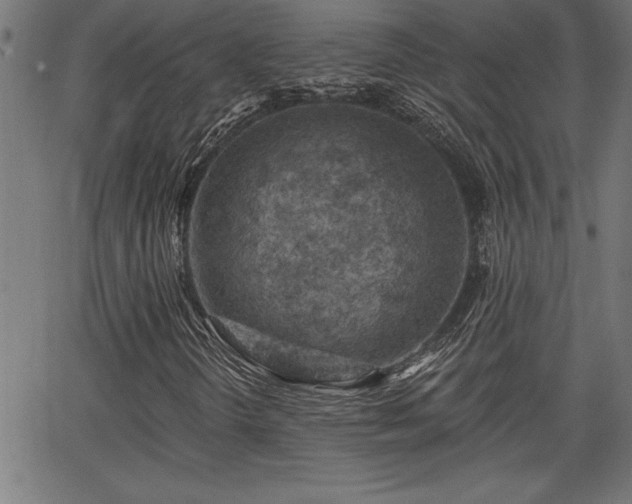 X0000065971298200603061139