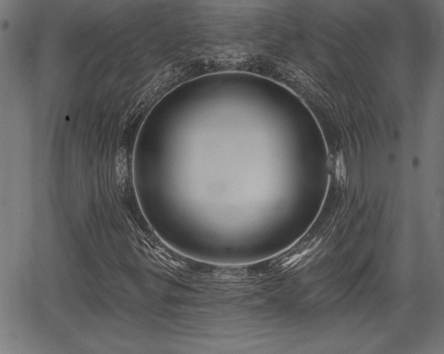 X0000065971299200603061139