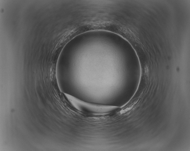 X0000065971300200603061139