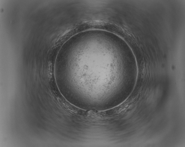 X0000065971301200603061139