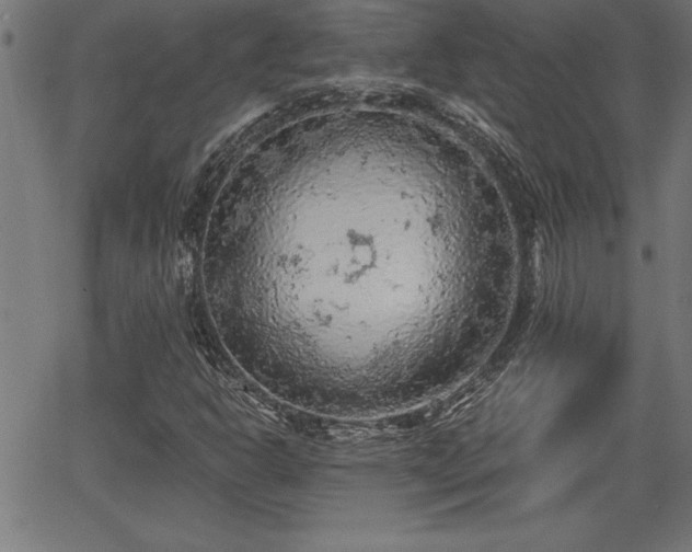 X0000065971302200603061139