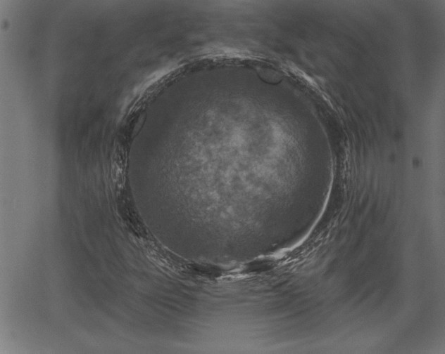 X0000065971303200603061139