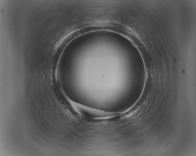 X0000065971304200603061139