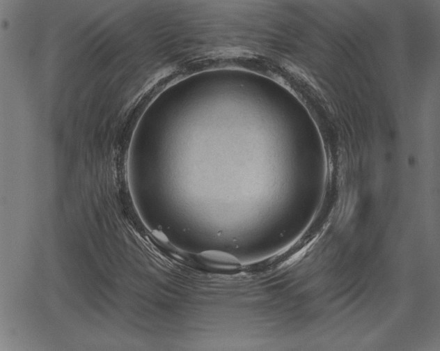 X0000065971305200603061139