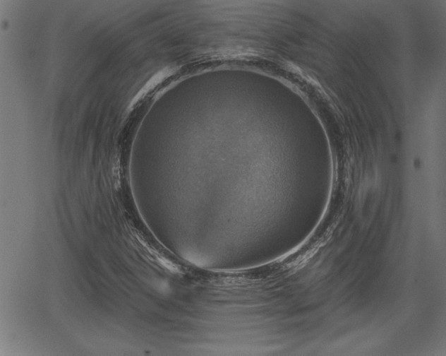 X0000065971306200603061139