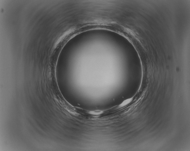 X0000065971307200603061139