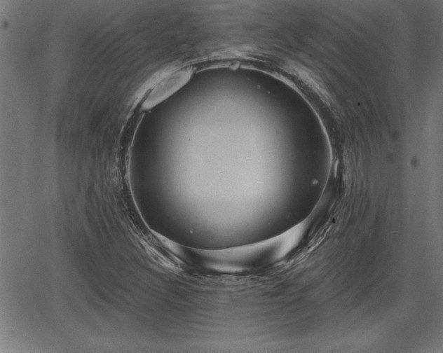 X0000065971308200603061139