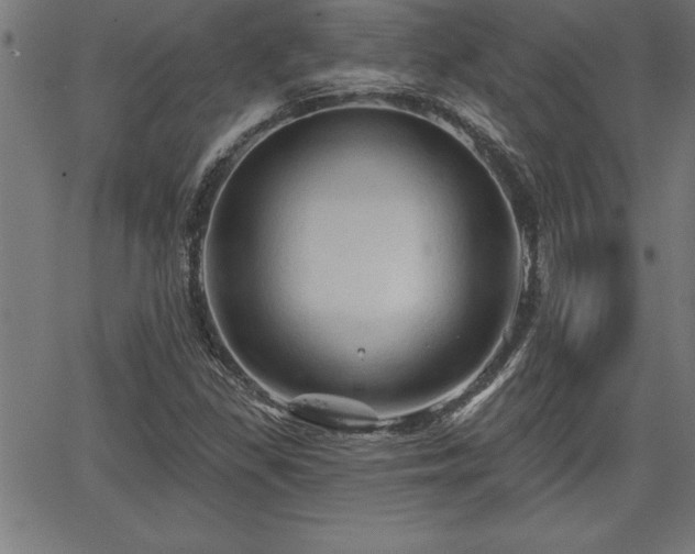 X0000065971309200603061139