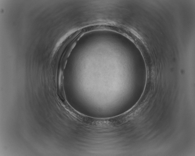 X0000065971310200603061139