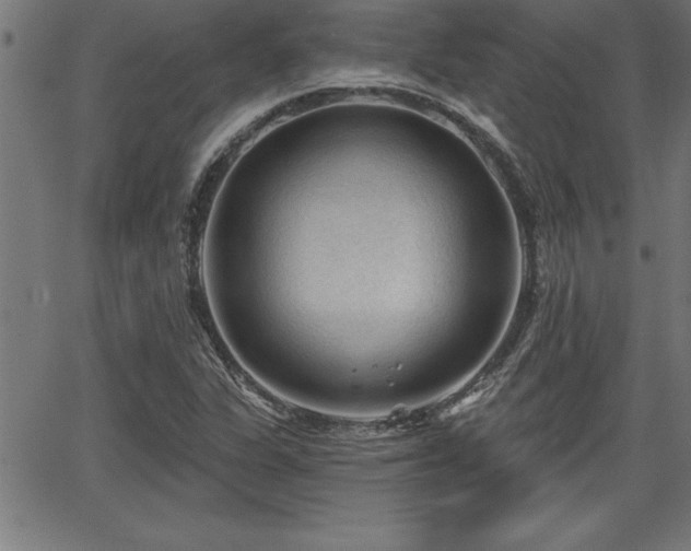 X0000065971311200603061139