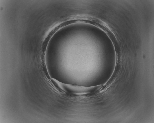 X0000065971312200603061139