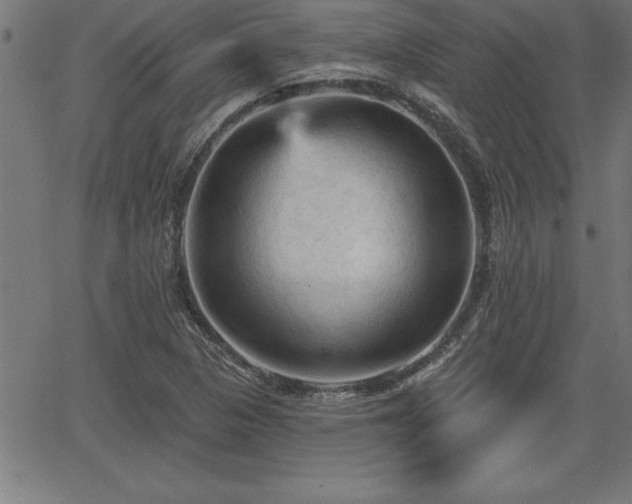 X0000065971313200603061139