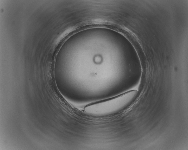 X0000065971314200603061139