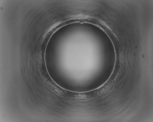 X0000065971315200603061139