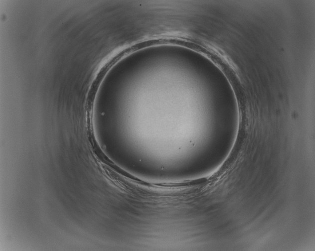 X0000065971316200603061139