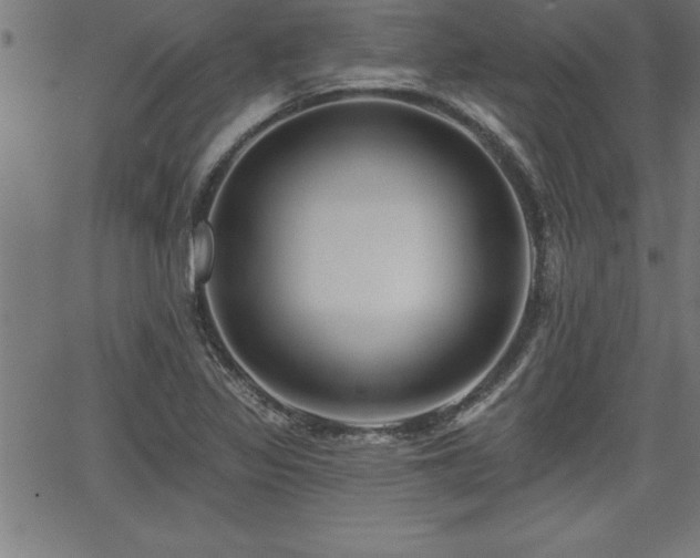 X0000065971317200603061139