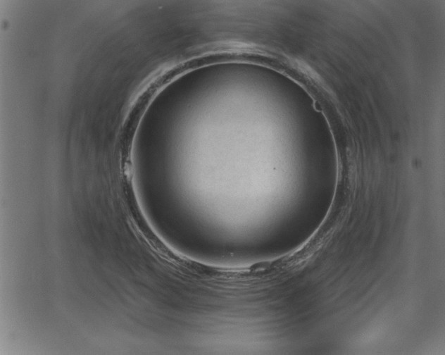 X0000065971318200603061139