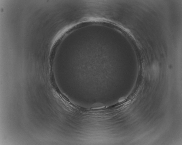 X0000065971319200603061139