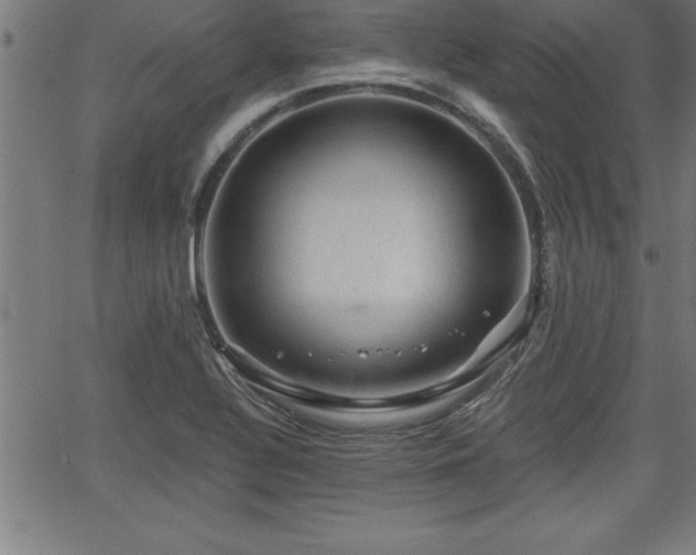 X0000065971320200603061139